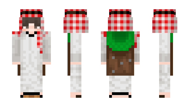 Minecraft skin Piterek13_