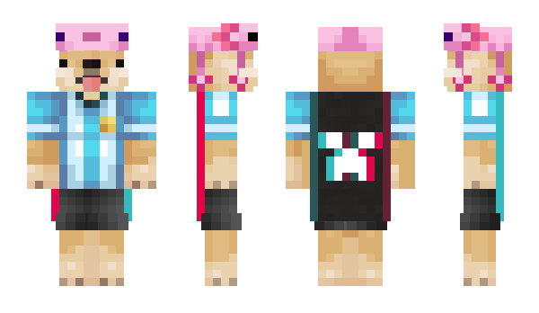 Minecraft skin xDogi