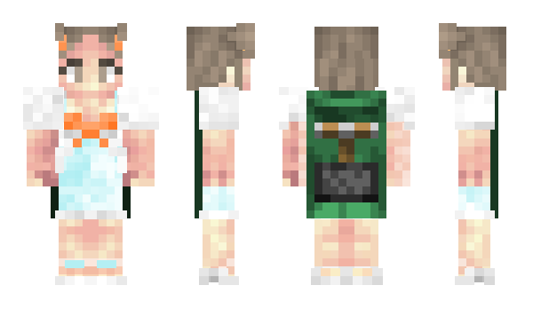 Minecraft skin ZachVee