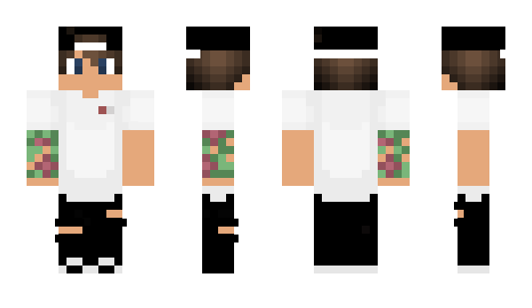 Minecraft skin Novinka