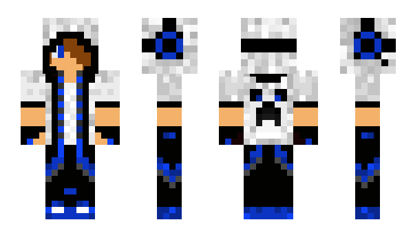 Minecraft skin austinhammer