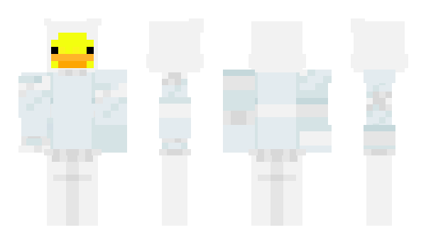 Minecraft skin PoIarDuck