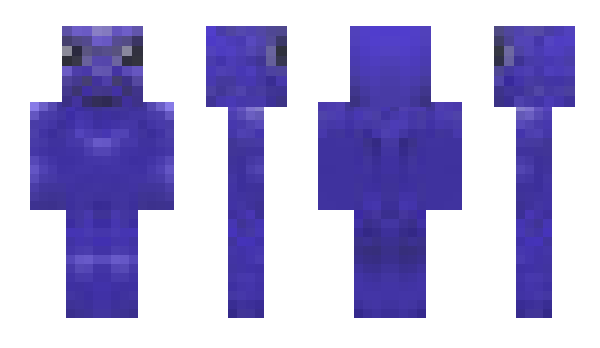 Minecraft skin _MIM