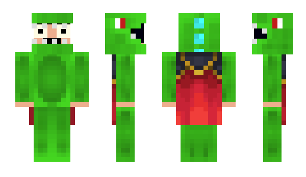 Minecraft skin DSing