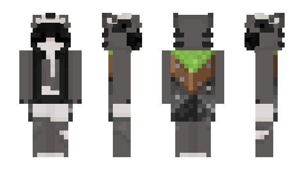 Minecraft skin NeetVR