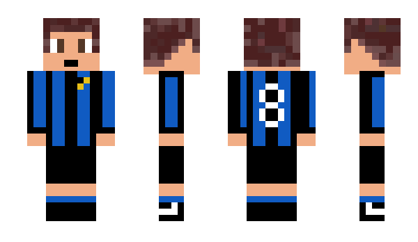 Minecraft skin Milanskriniar