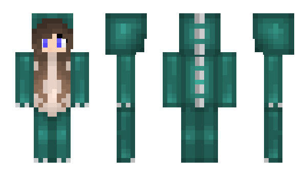 Minecraft skin splashrider