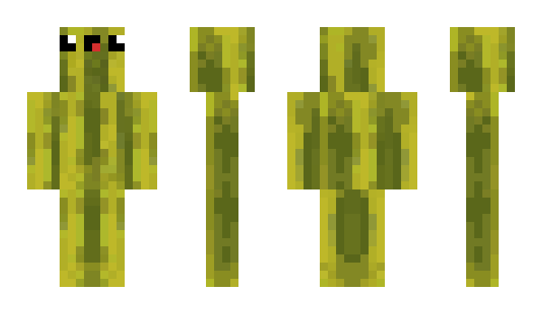 Minecraft skin Derpmelon