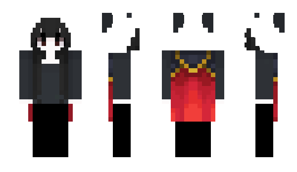 Minecraft skin _conventional360