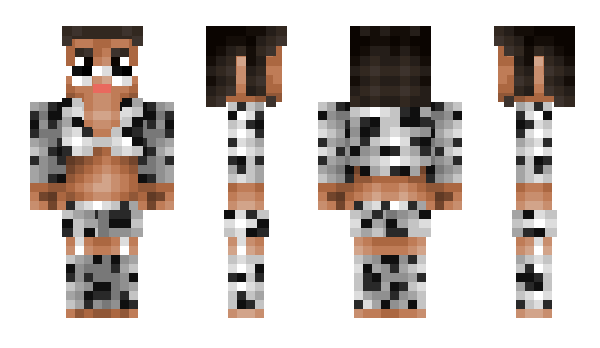 Minecraft skin Robinoss