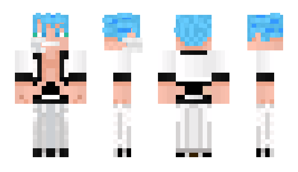 Minecraft skin fennesten