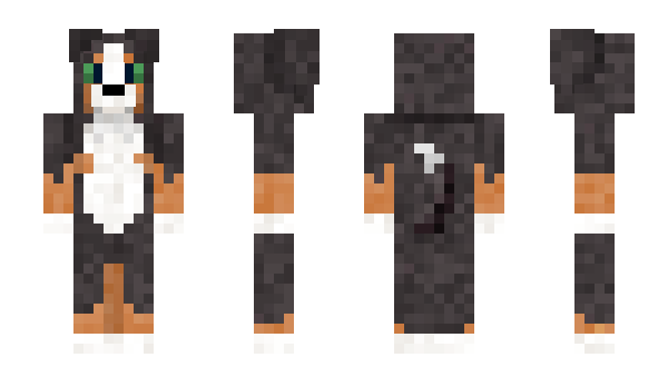 Minecraft skin paraket