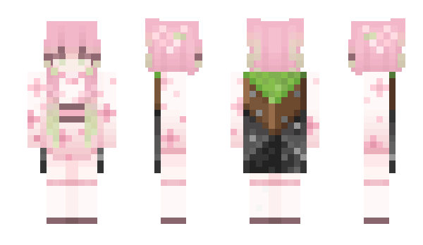 Minecraft skin navyryne