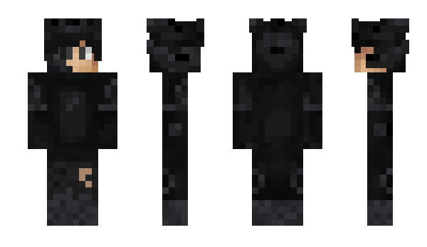 Minecraft skin DVinci