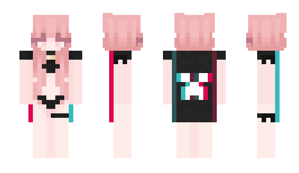 Minecraft skin dnzg