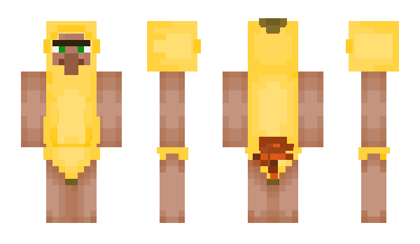 Minecraft skin DUCKGA