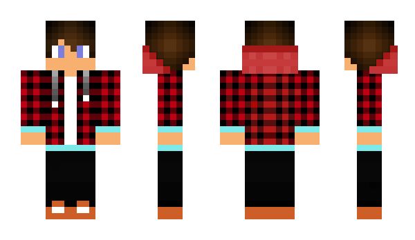 Minecraft skin MDR3M