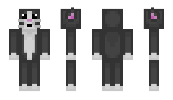 Minecraft skin SetsuJoku
