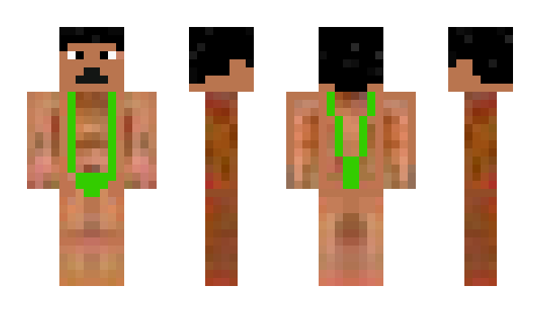 Minecraft skin modus