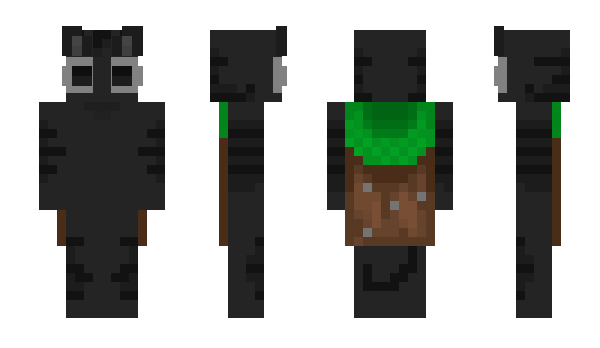 Minecraft skin dom4z