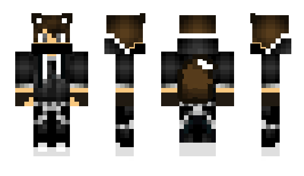 Minecraft skin TeWolf