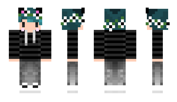 Minecraft skin Agilely