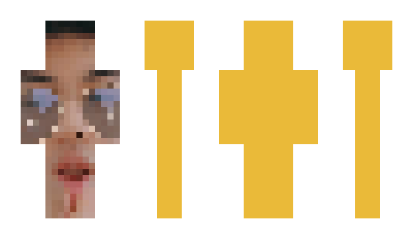 Minecraft skin _Turt