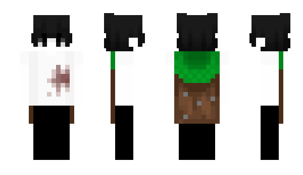 Minecraft skin DevDiddy