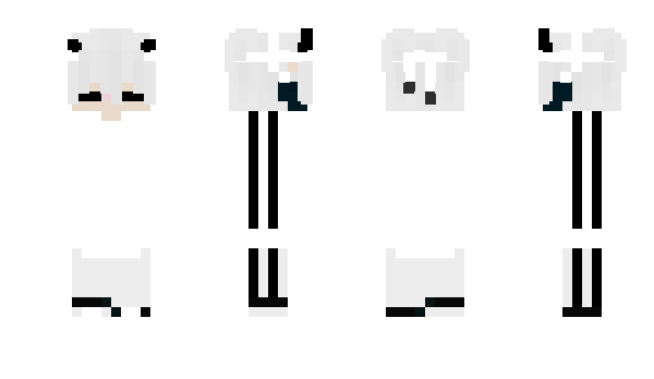 Minecraft skin MrNB