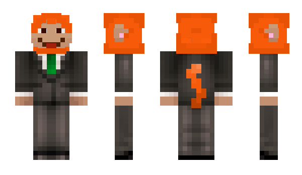 Minecraft skin Torwic