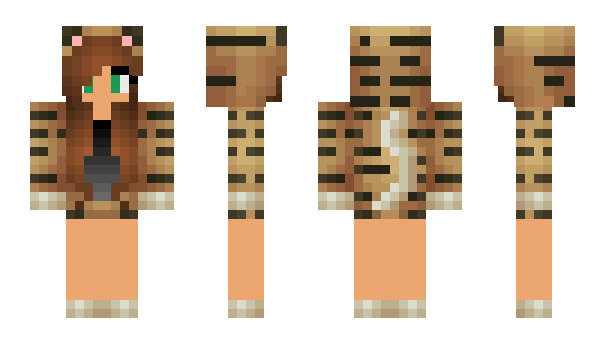 Minecraft skin TigerSoul