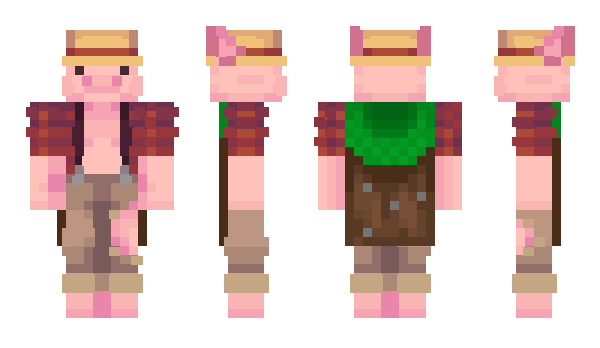 Minecraft skin BUMSSCHWEIN