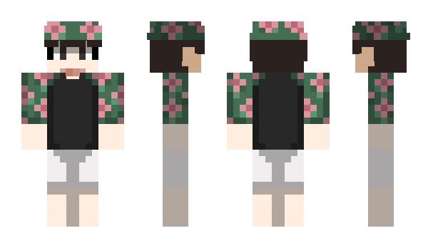 Minecraft skin 0_0v