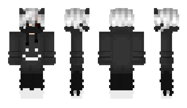 Minecraft skin DarkWarior