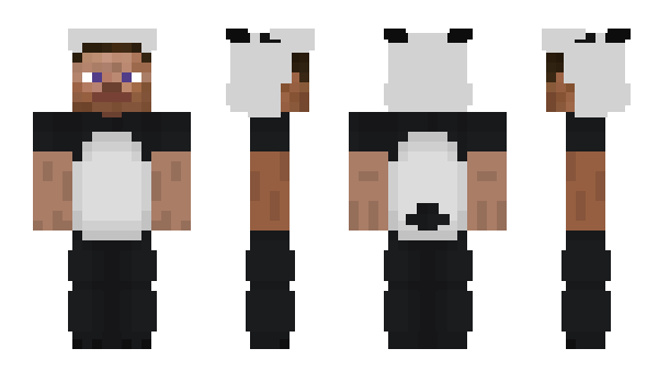 Minecraft skin dandaplayz