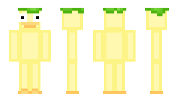 Minecraft skin bogshamb