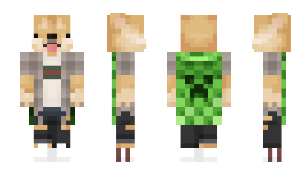 Minecraft skin lfins