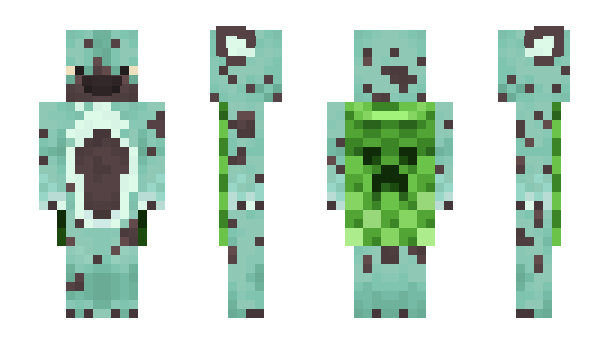 Minecraft skin minked