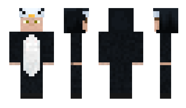 Minecraft skin Scuare