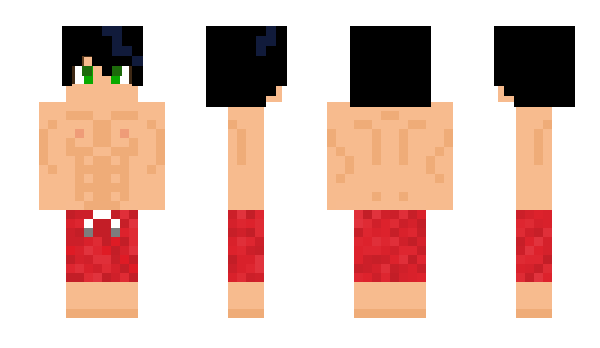 Minecraft skin wilmaxi