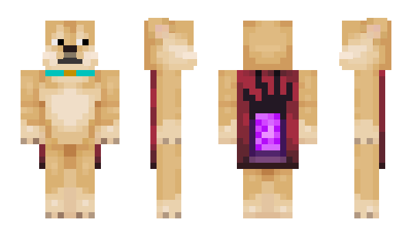 Minecraft skin calzoski
