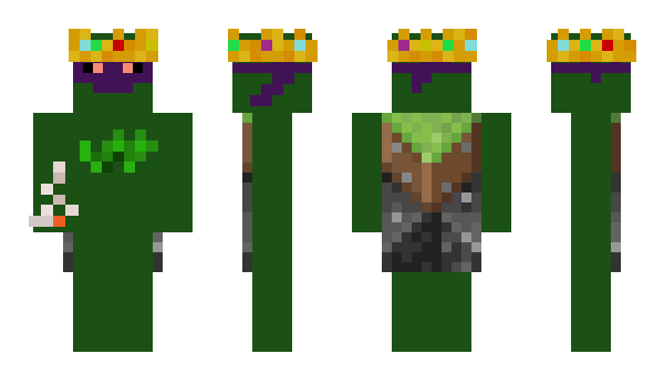 Minecraft skin ImHighAndHappy
