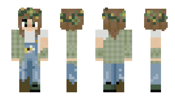 Minecraft skin seelv