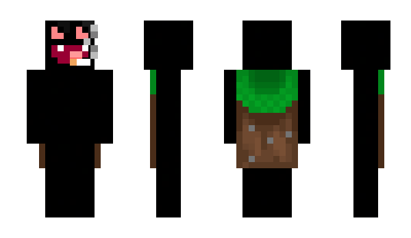 Minecraft скин по нику hoemson
