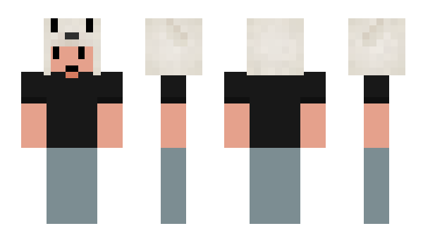 Minecraft skin PerryEllis