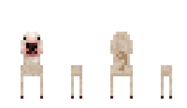 Minecraft skin SNMsky