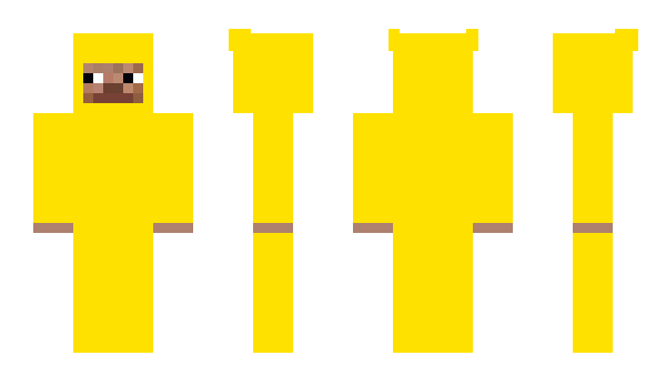 Minecraft скін по ніку BasilWendy
