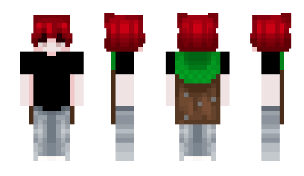 Minecraft скин по нику Rdieee