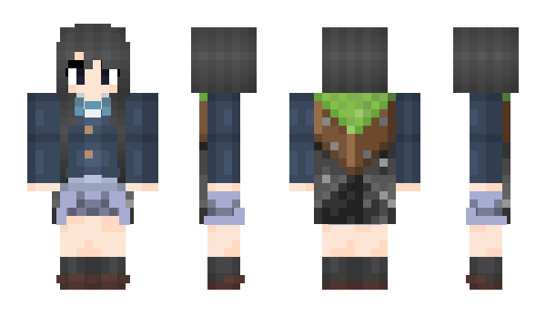 Minecraft skin Apim