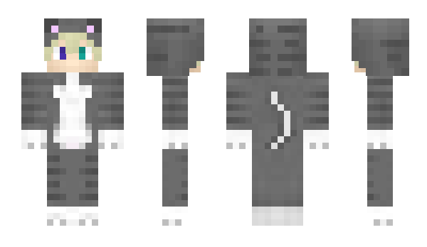 Minecraft skin VNU